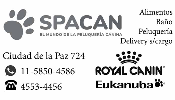 El mundo de la peluquería canina
